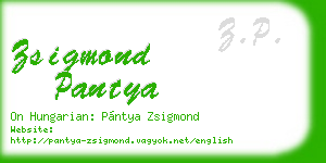 zsigmond pantya business card